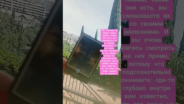 карта дня Ошо дзен таро расклад гороскоп совет ангелов высшие силы пасьянс косынка феншуй смотреть онлайн