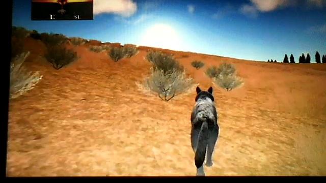 Обзор игры wolfquest смотреть онлайн