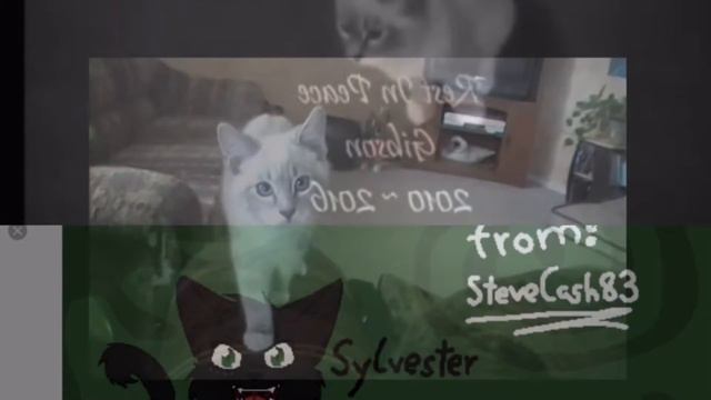 the last video about Gibson😭😭😭😭😭😭😭😭😭😭😭😭😭😭😭😭😭😰😭😭😭😭😭😭😭😭😭😭😭😭😭😭😭😭😭😭 смотреть онлайн