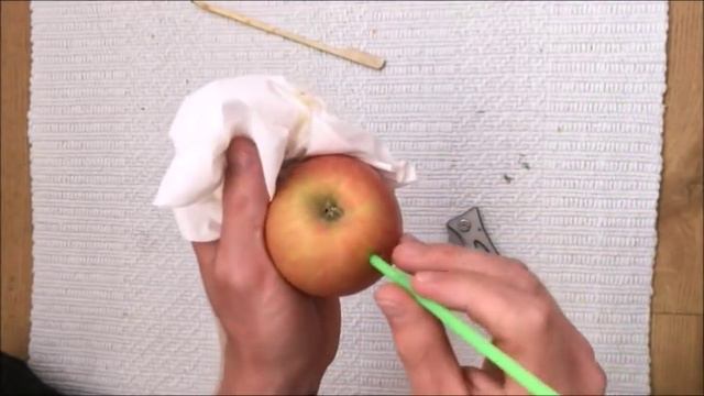 How to make an Apple bong смотреть онлайн