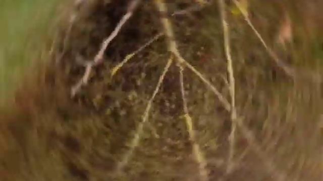 Сам себе фотограф, композитор и клипмейкер. ИмпроШИЗАция "Октябрь в Ростове 2023" смотреть онлайн