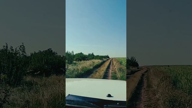 Куропатки на дороге смотреть онлайн