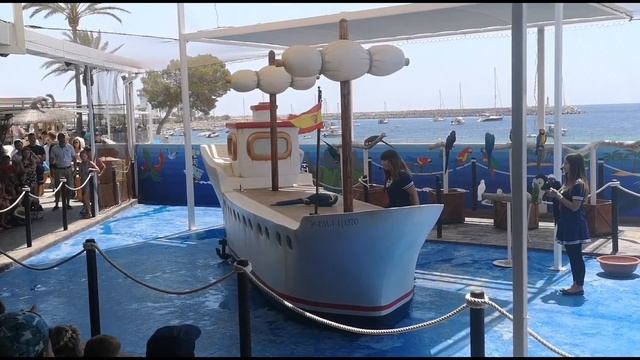 МАЙОРКА. САНТА ПОНСА. ДЕЛЬФИНАРИЙ MARINELAND. АКВАПАРК WESTERN PARK. смотреть онлайн