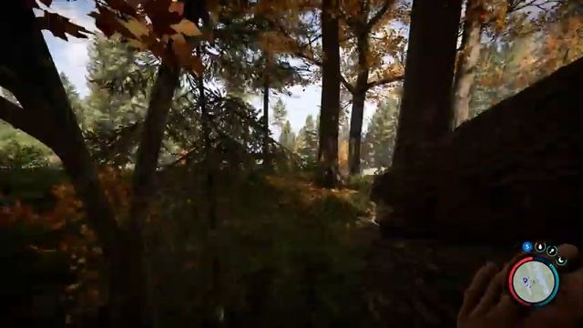 SONS OF THE FOREST - ПРОХОЖДЕНИЕ #2 ГЕЙМПЛЕЙ, ОБЗОР, [2K60] #sonsoftheforest #forest2 #форест2