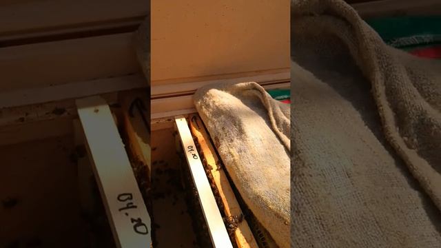 Подставка вощины смотреть онлайн