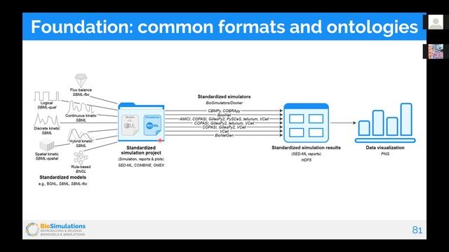 runBioSimuations and BioSimulators tutorials смотреть онлайн