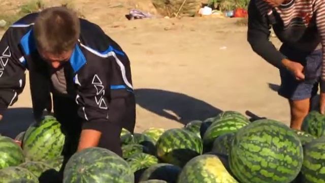 Ахтуба.Астраханские арбузы ! смотреть онлайн