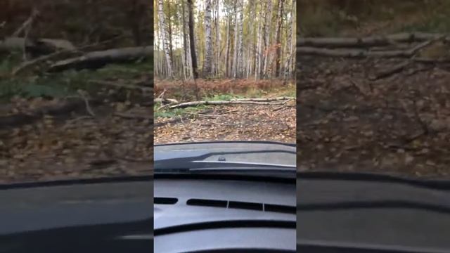 Дорога на Малый Кисегач (Рыбалка) смотреть онлайн