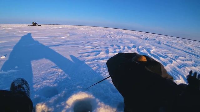 4 ДНЯ В ТАЙГЕ. Окунь На Кило. Озеро в Болотах. Ночевка в Палатке в -36 С. смотреть онлайн