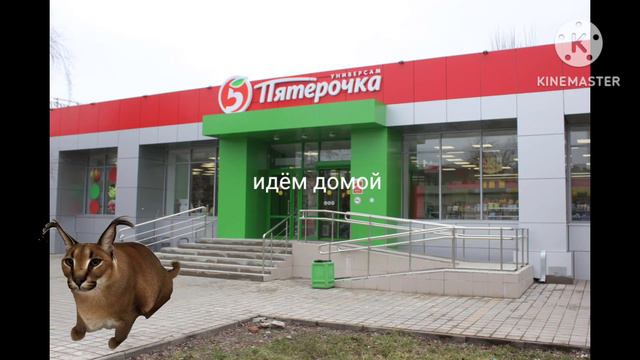 шлепа учит как правильно делать пельмени