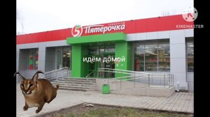 шлепа учит как правильно делать пельмени