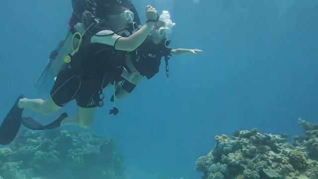 Дайвинг. Красное море. Египет. Шарм Эль Шейх смотреть онлайн