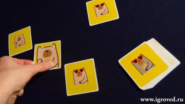 Квадрики Пёсики и Свинки. Обзор настольной игры от Игроведа