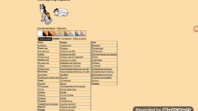 Как будет вьглядить мой окрас) смотреть онлайн