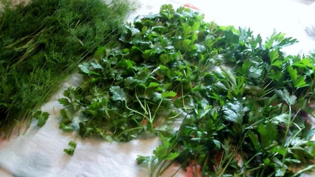 Сборник рецептов