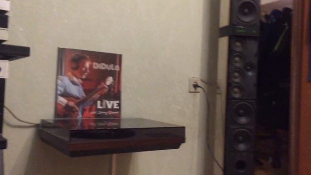Binaural room vinyl rip DIDULA - Wolf hunting смотреть онлайн