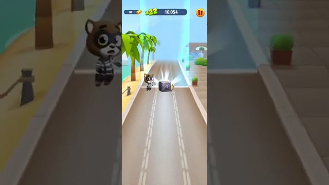 Кот Том прохождение игры. Играем вместе в Кот Тома. Cat Tom walkthrough.Let's play Cat Tom together смотреть онлайн