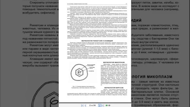 Инфекция и профилактика смотреть онлайн