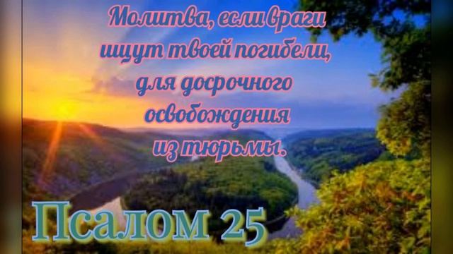 Слушай, молись и защити себя. Псалтырь. Псалом 25 смотреть онлайн