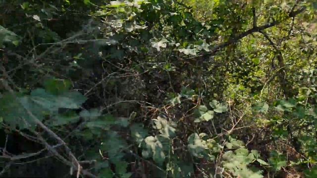 Слив воды с умывальника в частном доме без канализации из дешёвых средств. смотреть онлайн