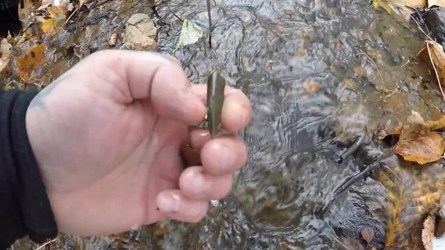 ПОИСК ОКАМЕНЕЛОСТЕЙ ЧЁРТОВЫ ПАЛЬЦЫ БЕЛЕМНИТЫ SEARCH OF FOSSILS BLOODY FINGERS BELEMNITES смотреть онлайн