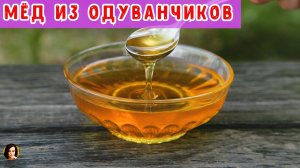 Мед из одуванчиков .
