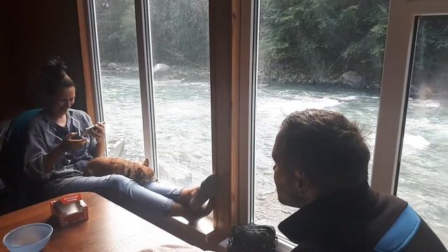 16.9.22, Архыз, утром у окна домика с видом на горную реку смотреть онлайн