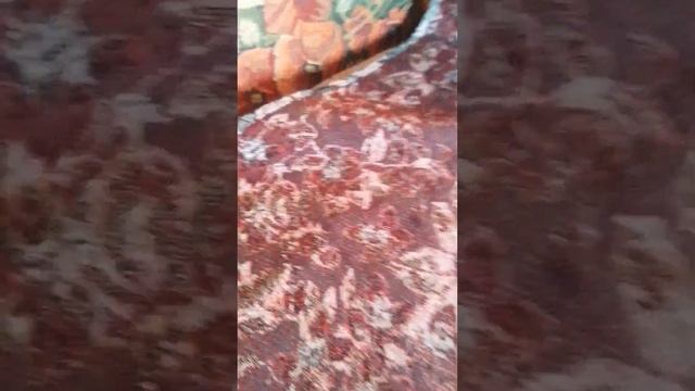 Как написать письмо деду морозу? Алиса пишет письмо деду морозу! кошка Алиса смотреть онлайн