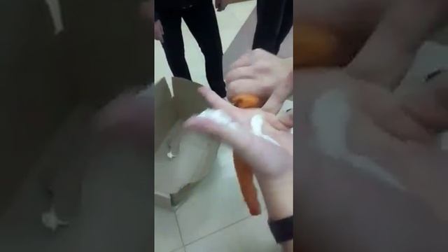 Защитный крем "Master Color" VS монтажная пена смотреть онлайн