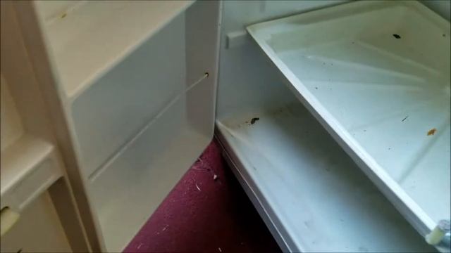 ЛОДКА МАРИО. Май 2020г. смотреть онлайн