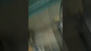 Стиральная Машина Haier Отжим издаёт шум