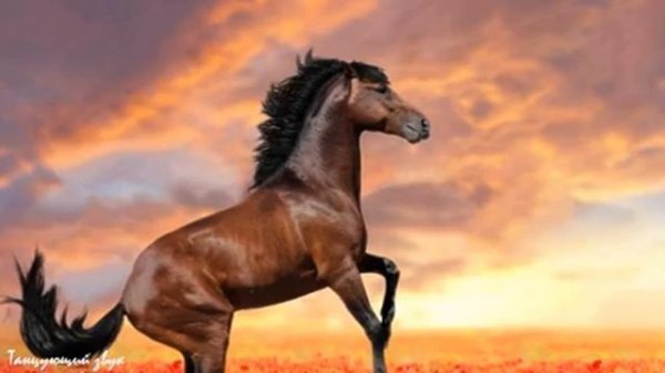 Музыка Сергей Грищук! Невероятно вдохновляющая и Бесконечно КРАСИВАЯ МУЗЫКА для души, релакс