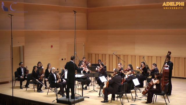 SAMUEL BARBER ADAGIO / Сэмюэл Барбер Адажио смотреть онлайн