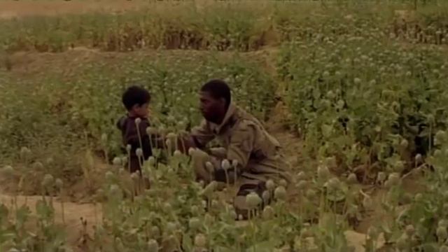 (opium war )afghan movie смотреть онлайн