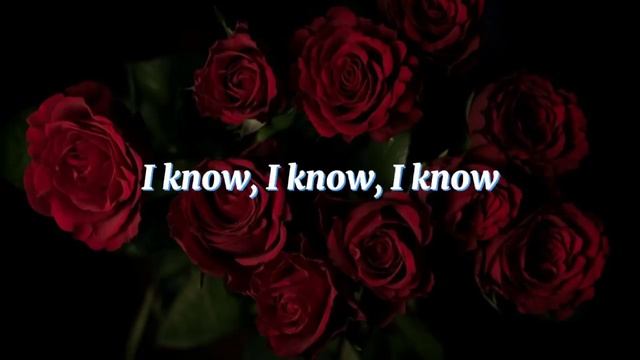 Stalker's Tango ~ Autoheart // Lyrics