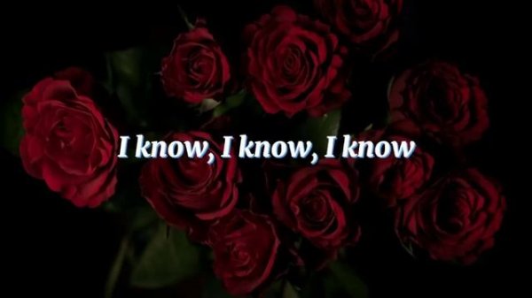 Stalker's Tango ~ Autoheart // Lyrics