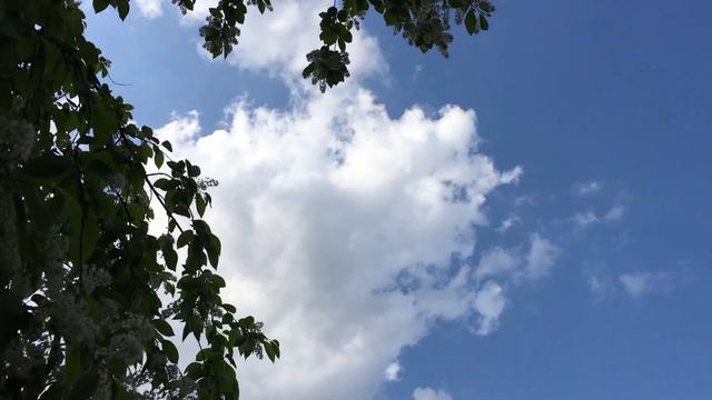 Александро—Невская Лавра смотреть онлайн