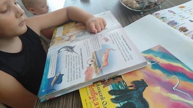 Энциклопедия почемучка смотреть онлайн