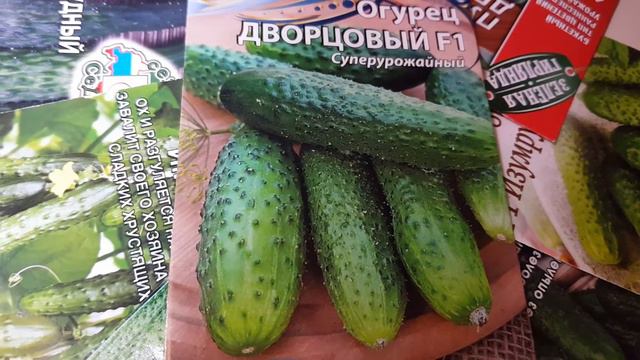 Суперурожайный огурец ДВОРЦОВЫЙ. #5# смотреть онлайн