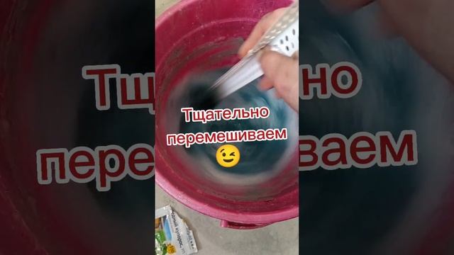 Убираем плесень и грибок. смотреть онлайн