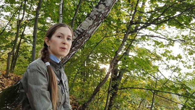 Спокойствие осени. Стихи про осень смотреть онлайн