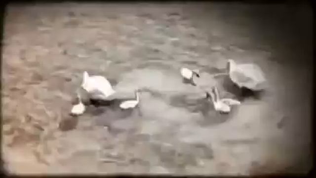 La famigliola (Created with @Magisto) смотреть онлайн