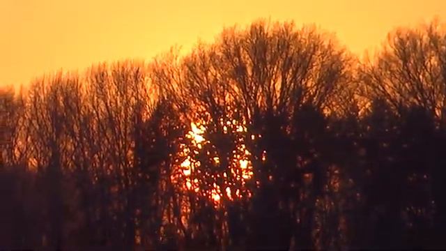 прогулка по река на закате солнца .город Уфа 1 февраля 2023 природа погода красота смотреть онлайн