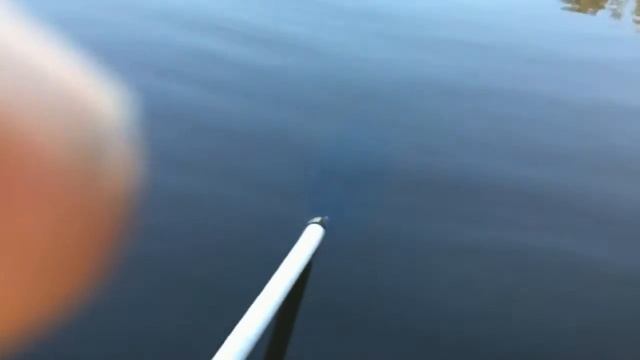 Выезд  на рыбалку с друзьями!!!!!!!