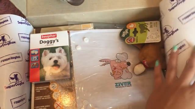 SUPERDOGBOX ДЛЯ ДВУХ СОБАК/ПОДАРКИ СОБАКАМ/Виктория Крокус смотреть онлайн