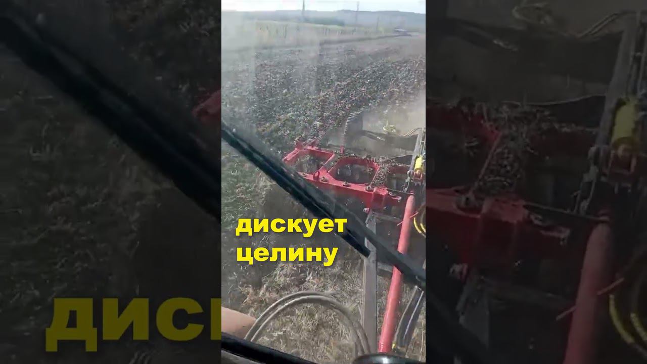 БДМ 3,5х2п от ИП Сергиенко А.Г. Дискует целину в Анапе #shorts #трактор #дискатор #бдм #ипсергиенко смотреть онлайн