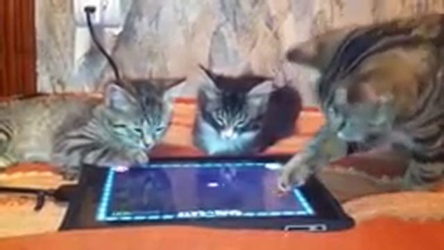 Нука не спать на уроке смотреть онлайн