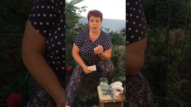 ?боремся с муравьями смотреть онлайн