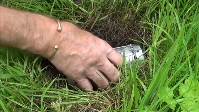 Mole control # 1 смотреть онлайн
