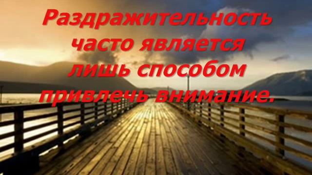 24 золотых правила смотреть онлайн